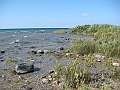 Western Michigan [2010] 831